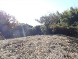 太陽光団地が紹介している案件01