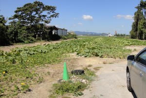 太陽光団地が紹介している案件02